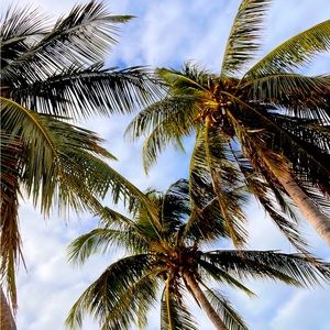 Meet your Posher, Cristina